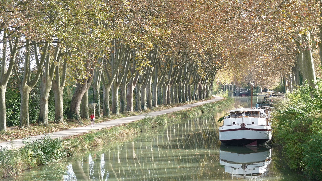 le-rotary-sengage-durablement-pour-la-replantation-du-canal-du-midi