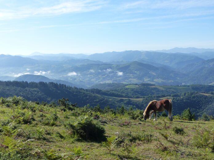 lobservatoire-pyreneen-du-changement-climatique-organise-une-journee-sur-limpact-du-rechauffement-climatique-sur-les-pyrenees