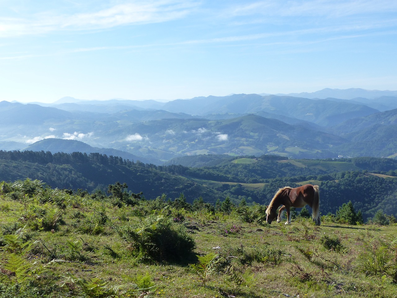 lobservatoire-pyreneen-du-changement-climatique-organise-une-journee-sur-limpact-du-rechauffement-climatique-sur-les-pyrenees