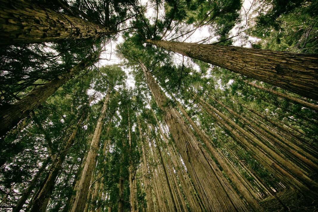 oui-a-une-transition-ecologique-plus-juste oui-a-une-transition-ecologique-plus-juste