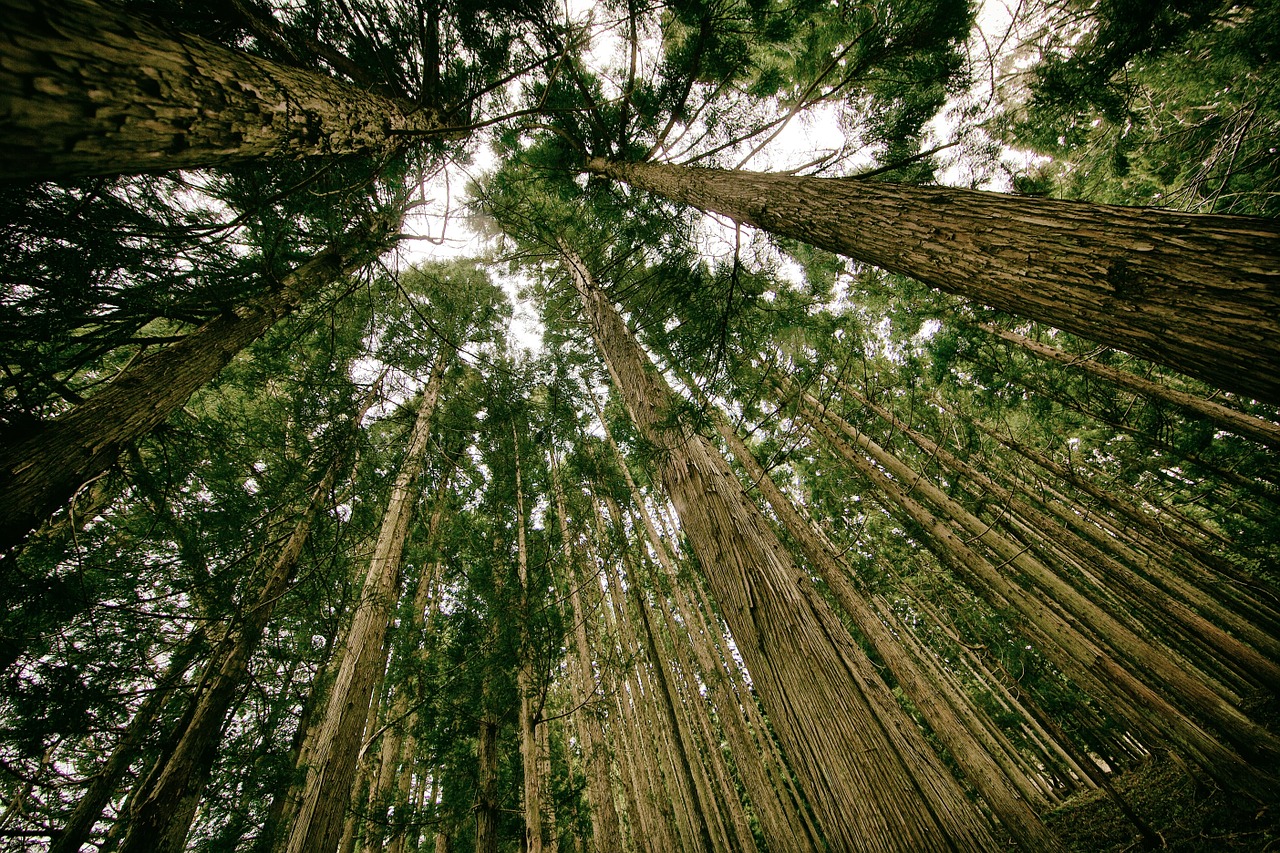 oui-a-une-transition-ecologique-plus-juste