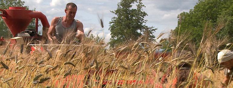 projection-gratuite-et-debat-autour-du-film-quest-ce-quon-attend-a-millas