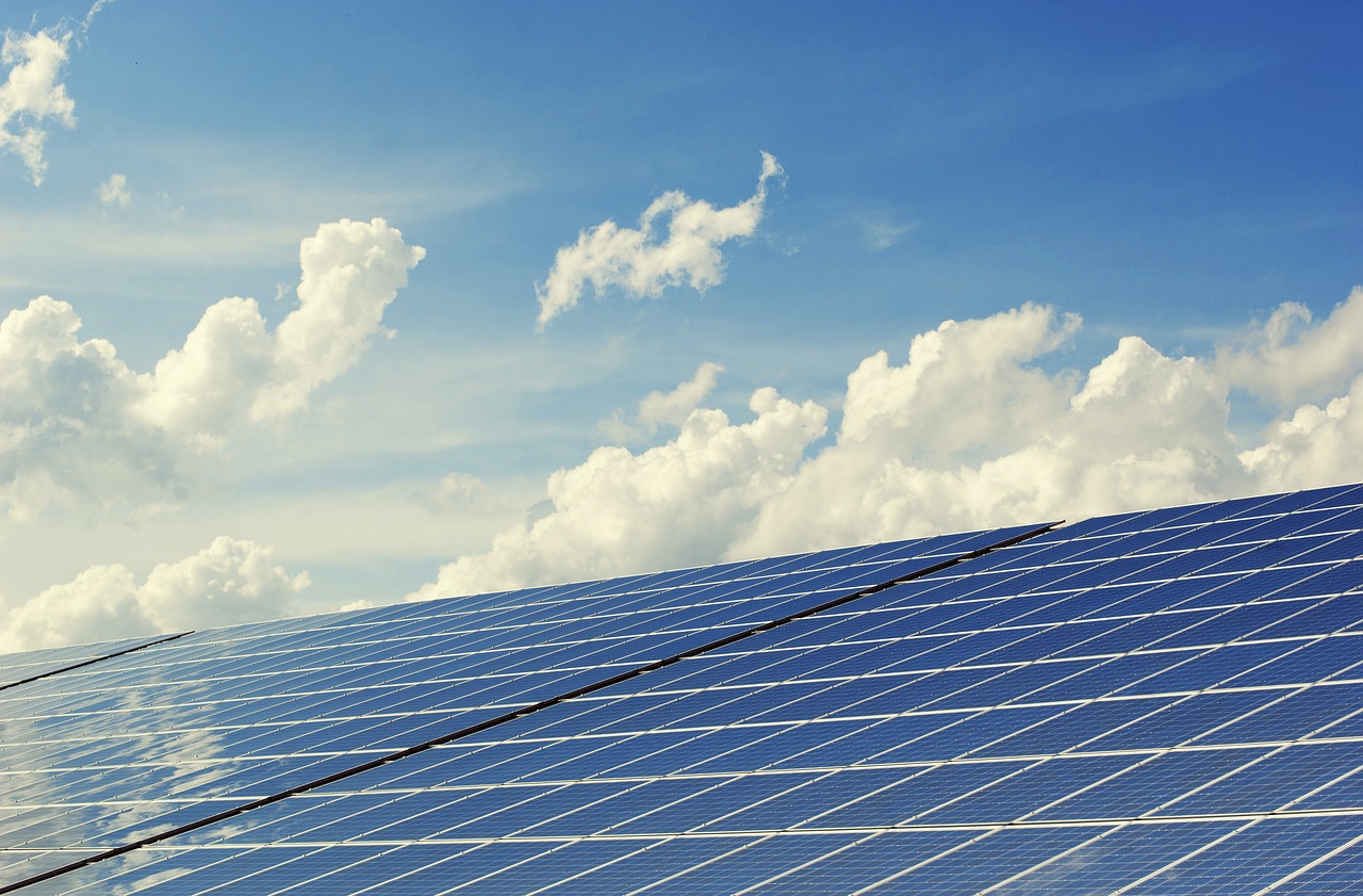rendez-vous-ecocitoyen-du-c2d-mercredi-28-novembre
