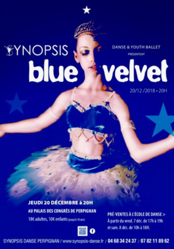 le-synopsis-youth-ballet-presente-son-gala-de-fin-dannee
