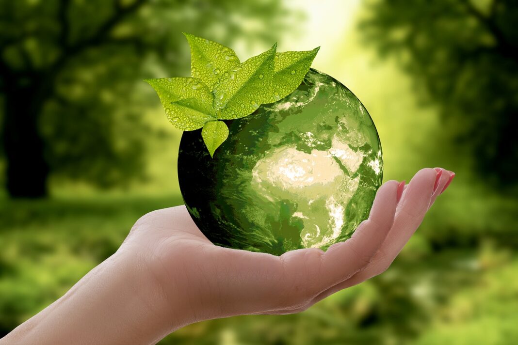cap-sur-le-developpement-durable-et-la-transition-energetique cap-sur-le-developpement-durable-et-la-transition-energetique