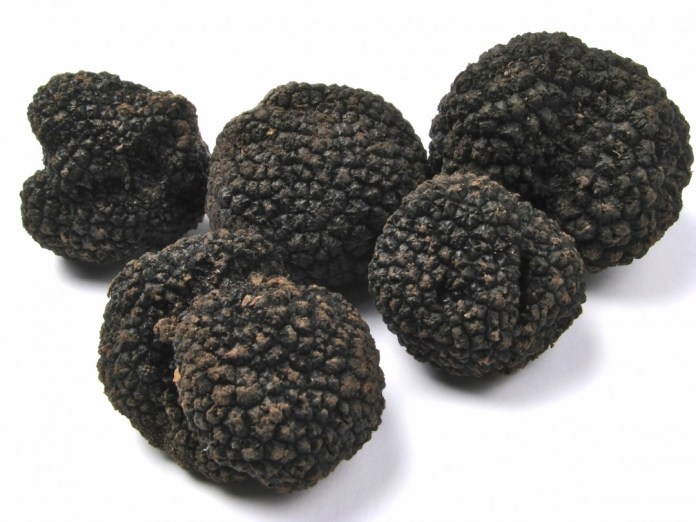 le-departement-produit-annuellement-300-kilos-de-truffes