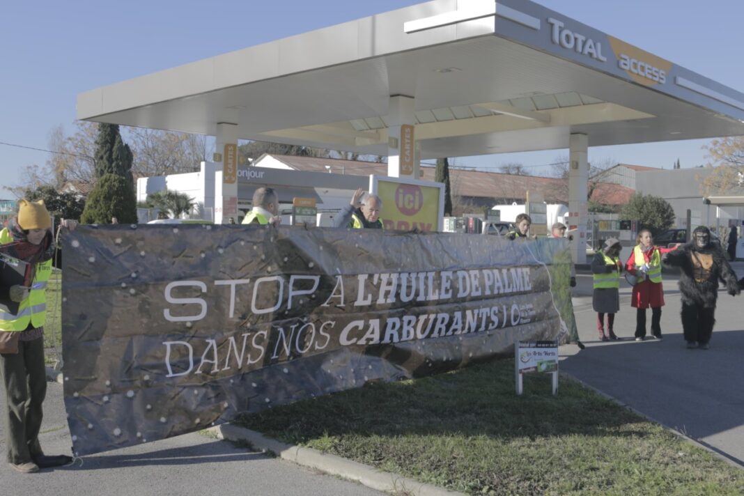 stop-a-lhuile-de-palme-dans-nos-carburants stop-a-lhuile-de-palme-dans-nos-carburants