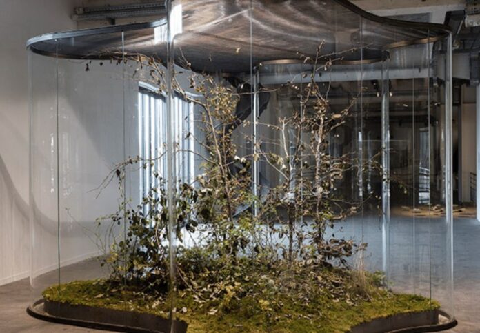 exposition-de-daniel-steegmann-mangrane-a-liac-villeurbanne