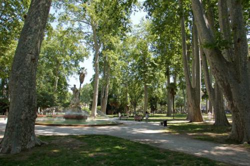 vegetalisation-urbaine-une-naissance-deux-arbres-plantes