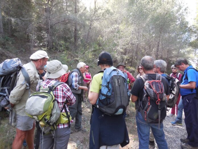 Retour sur les Journées Internationales des forêts en pays de la Vallée de l'Agly