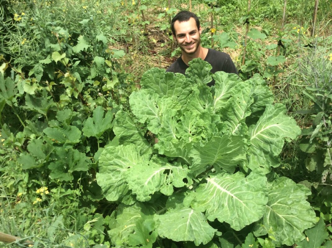 neuf-cours-conferences-autour-de-la-permaculture-avec-sud-roussillon2 neuf-cours-conferences-autour-de-la-permaculture-avec-sud-roussillon