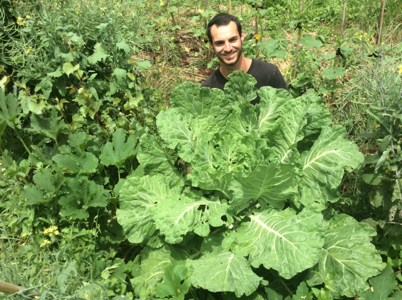 neuf-cours-conferences-autour-de-la-permaculture-avec-sud-roussillon