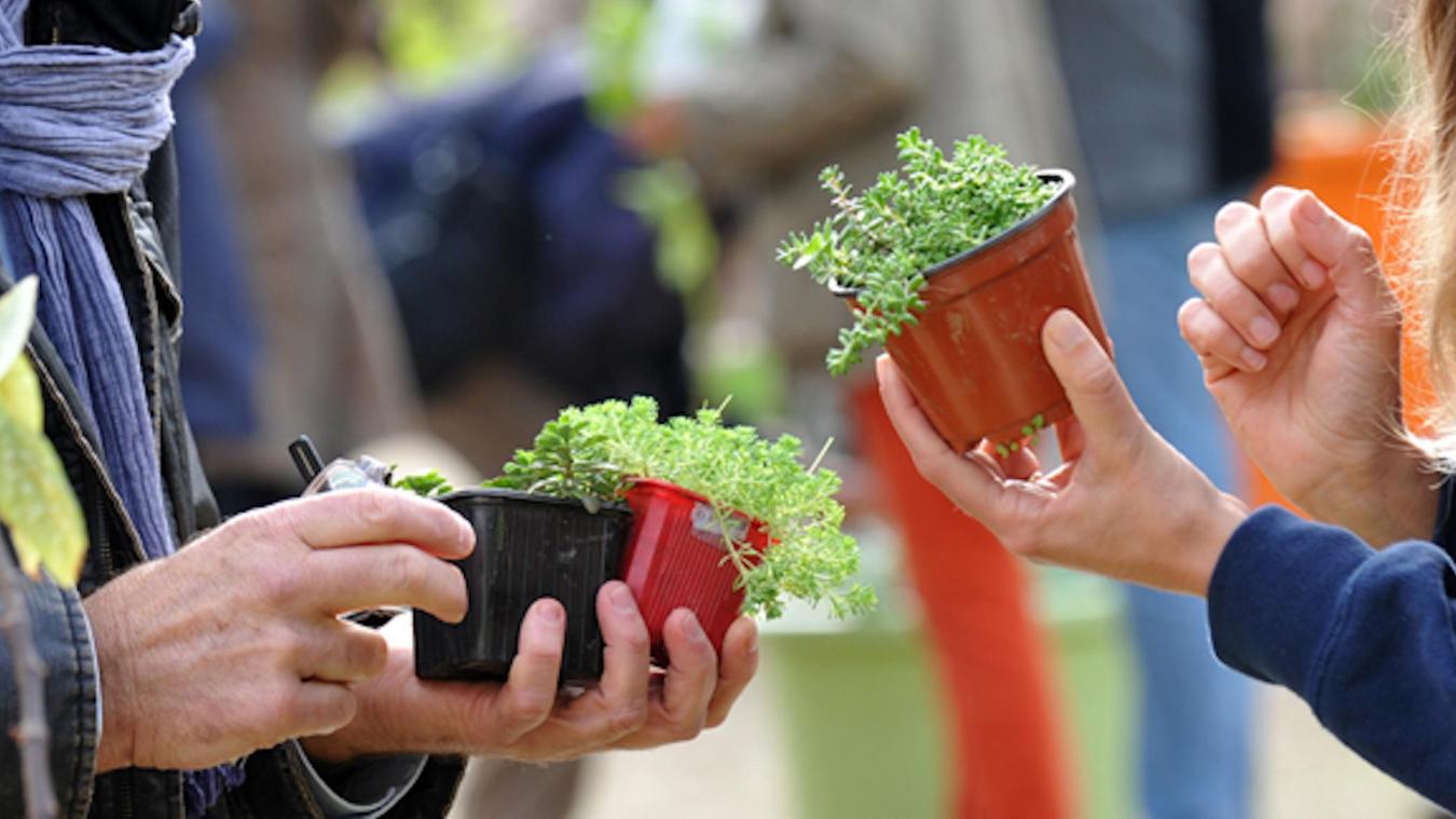 projection/débat et Troc’ plantes au Soler le vendredi 5 et dimanche 7 avril