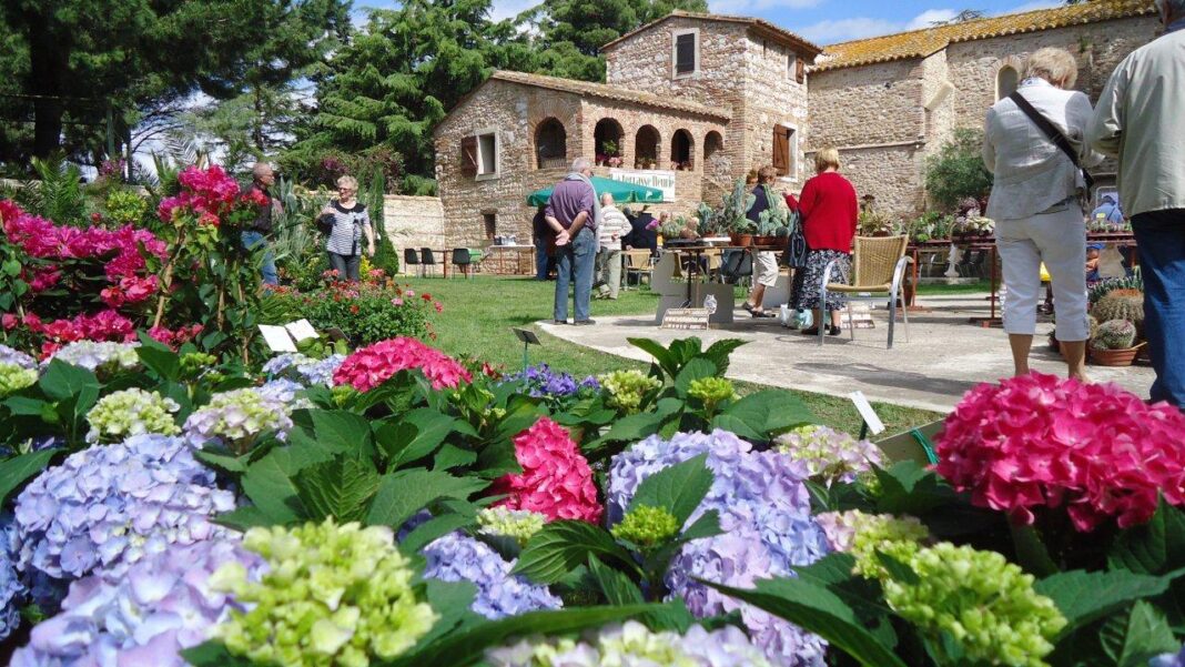 Floralies à la chapelle de Juhègues, le monde vegetal mis à l'honneur le temps d''un week-end - © OT TORREILLES Onzième floralies de Juhègues...
