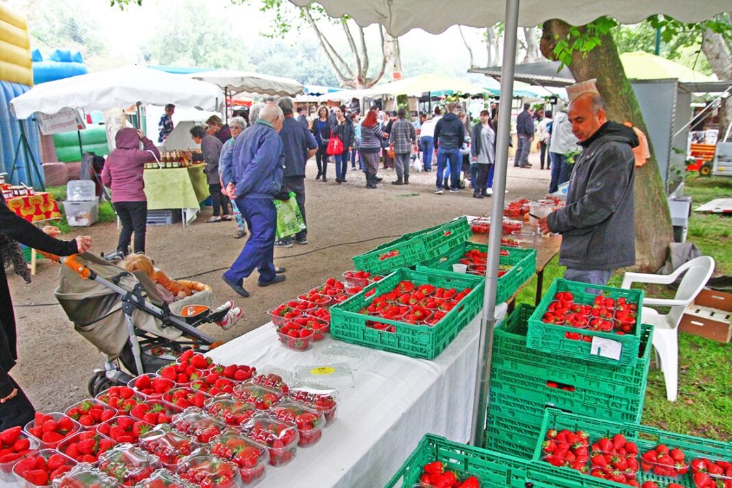 Fête de la Fraise, chasse aux œufs et foire aux plantes aromatique au Lac du Moulin le dimanche 21 avril Fête de la Fraise, chasse aux œufs et foire aux plantes aromatique au Lac du Moulin le dimanche 21 avril