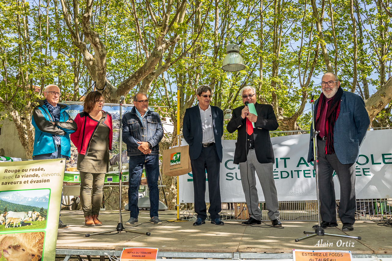 Vinça, labellisée « Station Verte »