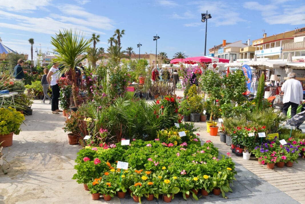Les Floralies sont de retour au Barcarès Les Floralies sont de retour au Barcarès