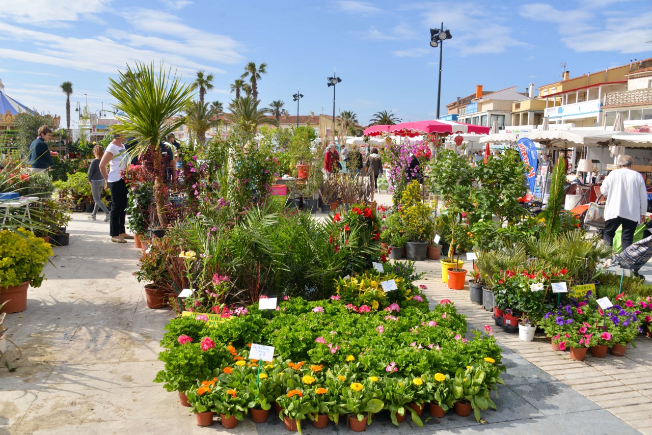 Les Floralies sont de retour au Barcarès