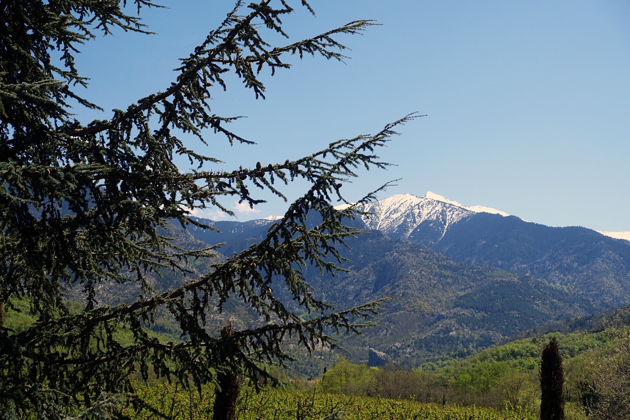 Massif du Canigou : modalités de circulation sur les pistes forestières