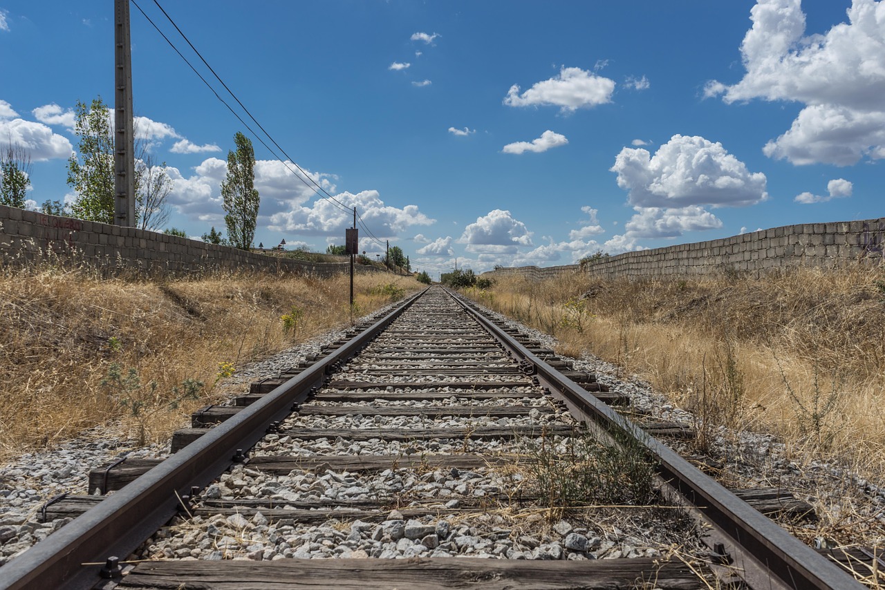 Une motion adoptée hier à l'unanimité pour le maintien du train des primeurs