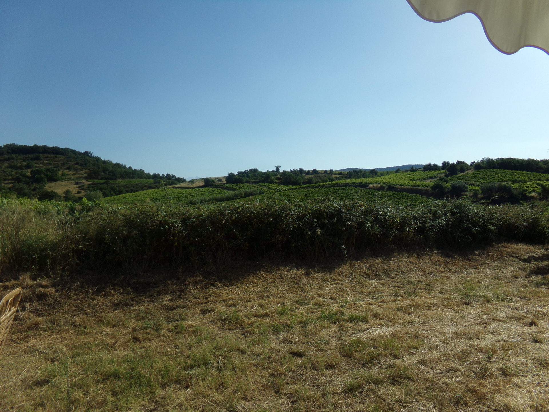 Montner/ Domaine Mont-Noir : la fête de la nouaison le 6 juillet