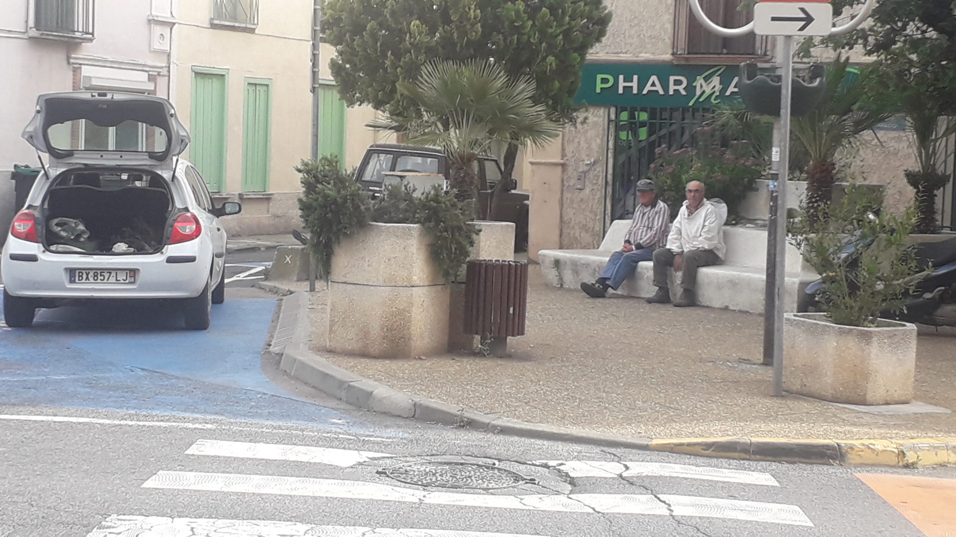 Estagel : un essaim d’abeilles en visite sur la place Arago