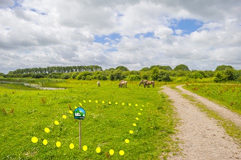 Campez en terrains agricoles avec Park and View