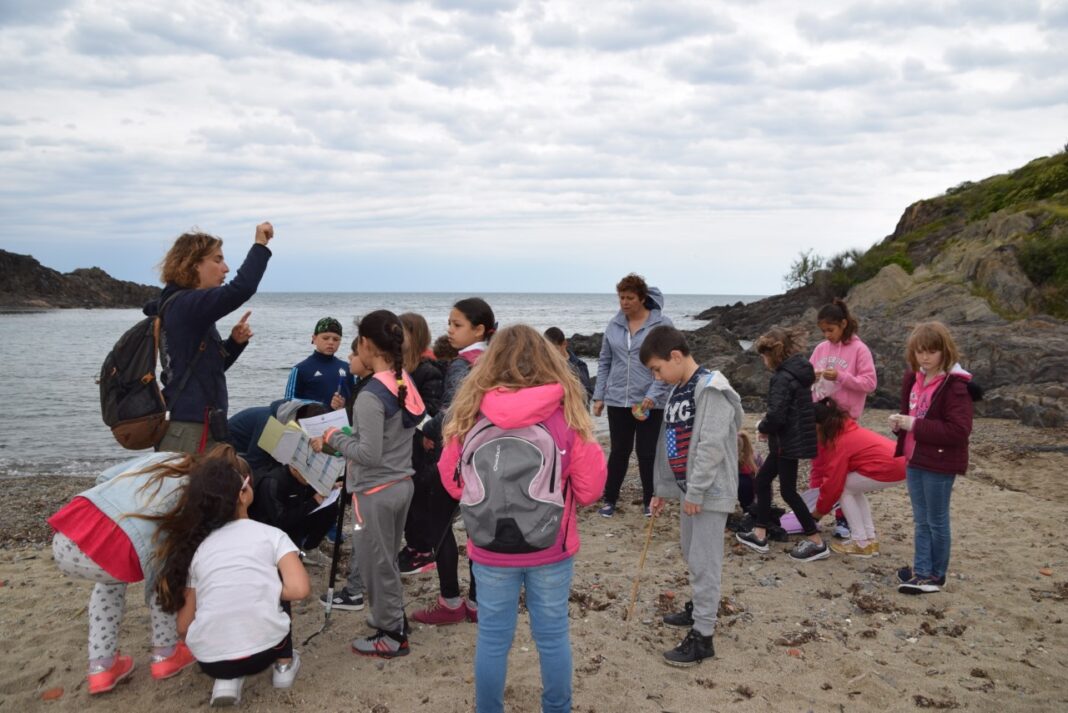 Le label « aire marine éducative » pour les élèves de l’école élémentaire de Port-Vendres2 Le label « aire marine éducative » pour les élèves de l’école élémentaire de Port-Vendres
