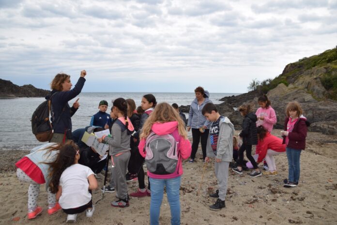 Le label « aire marine éducative » pour les élèves de l’école élémentaire de Port-Vendres