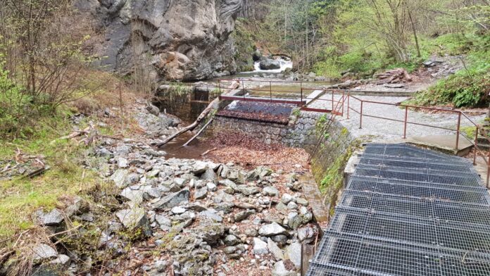 Un dispositifs pour faciliter les migrations des espèces qui peuplent la rivière