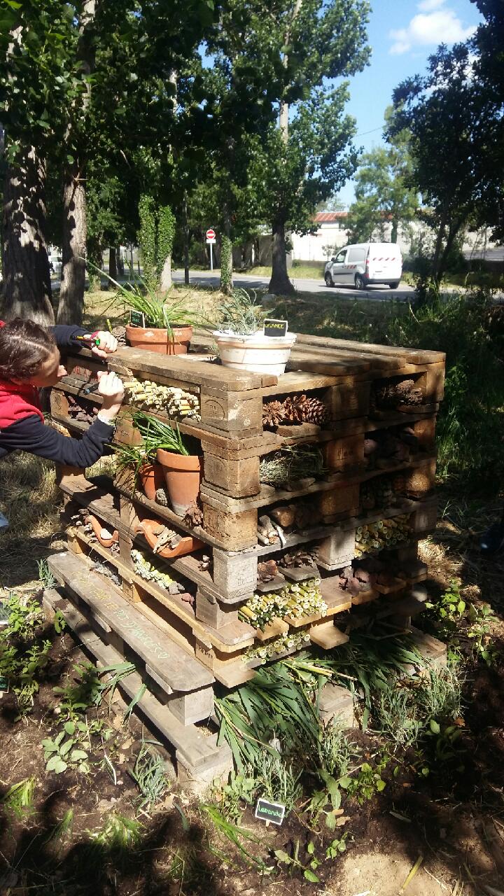 Un hôtel cinq étoiles pour les insectes à Argelès-sur-Mer !