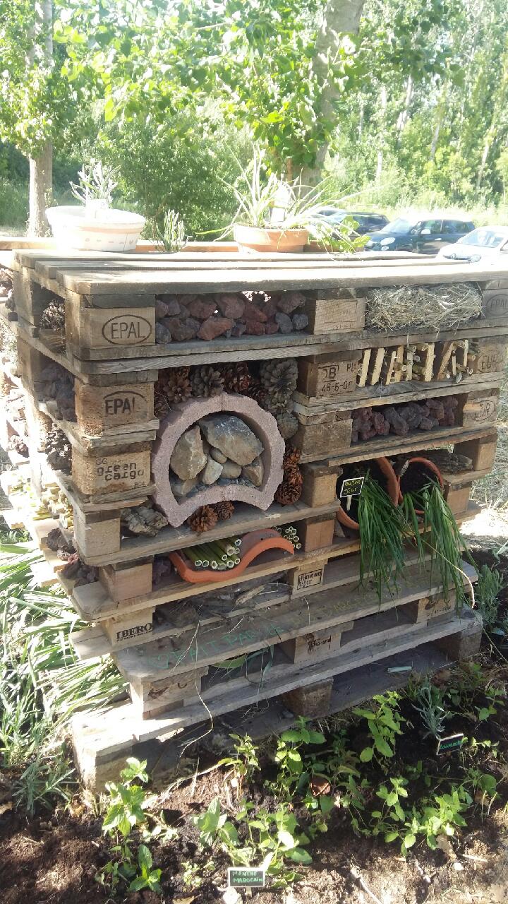 Un hôtel cinq étoiles pour les insectes à Argelès-sur-Mer !