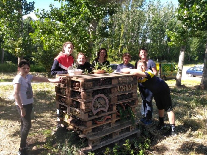 Un hôtel cinq étoiles pour les insectes à Argelès-sur-Mer !