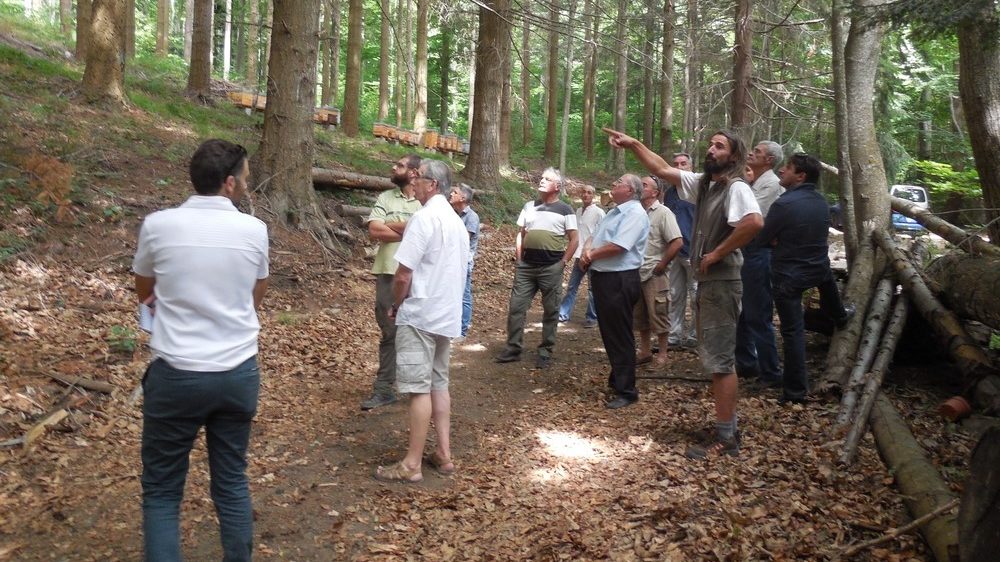 Découverte de la Filière Bois sur la Vallée de l’Agly