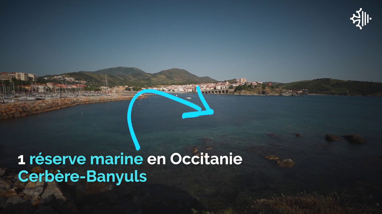 Cérémonie de remise des trophées de la biodiversité : la Région a récompensé 11 porteurs de projets éco-responsables