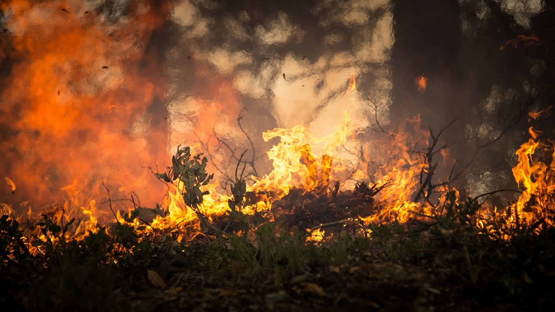 Incendies : vigilance maximale pour les jours à venir en raison d’une tramontane forte