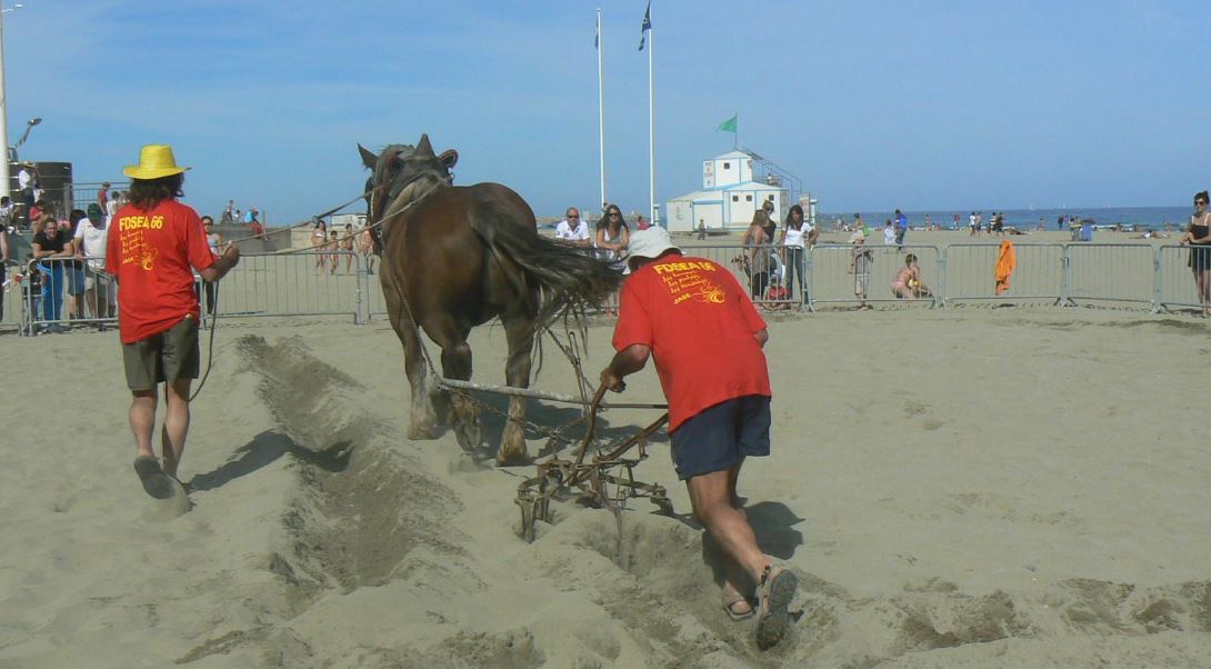 La ferme à Canet les 14 et 15 septembre 2019