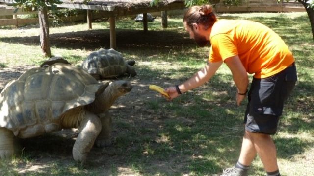 Sorède : « La Vallée des tortues » ou le succès de l’été 2019 en Roussillon !