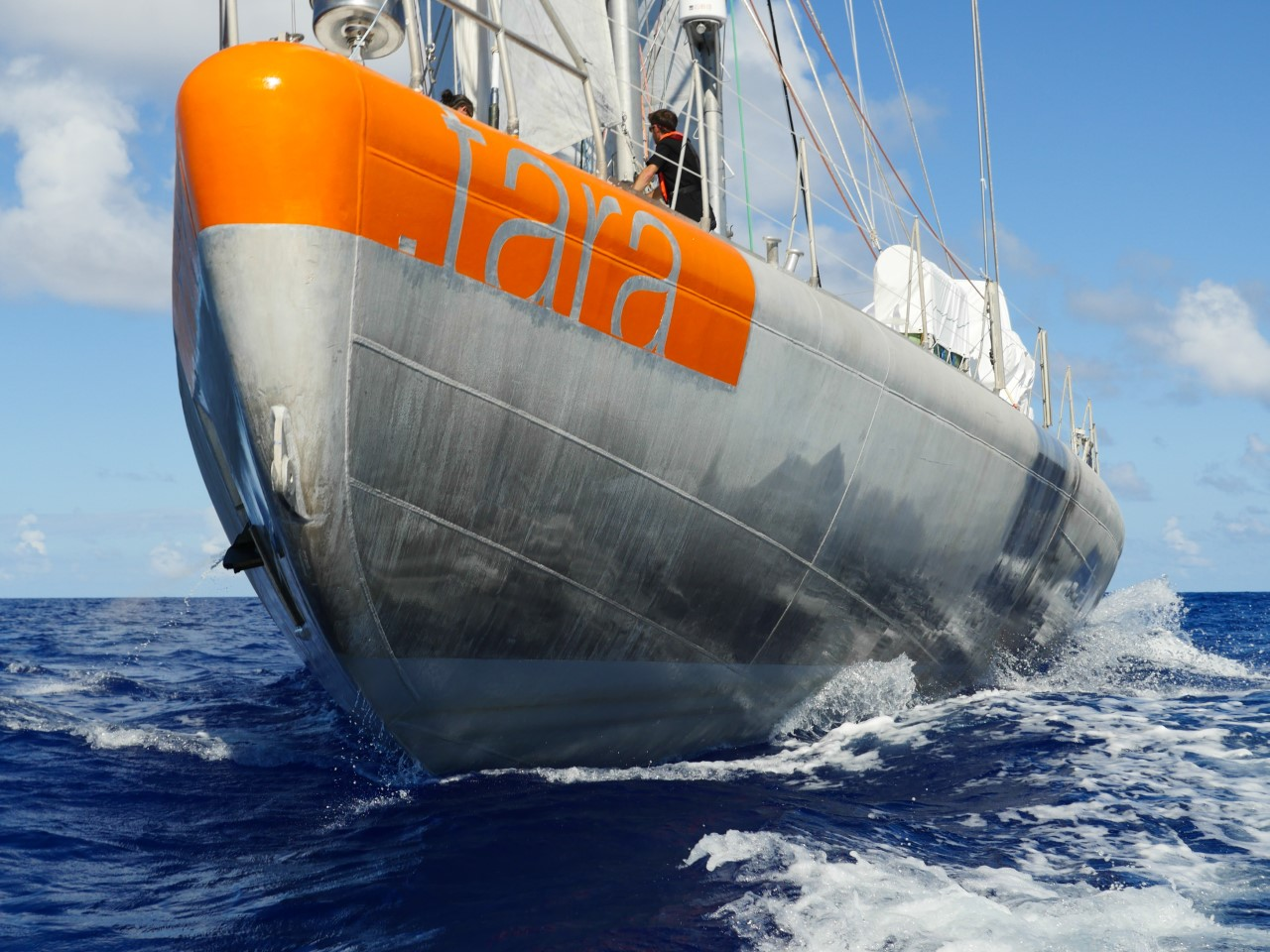 Tara, la goélette scientifique, fait escale à Banyuls-sur-Mer du 10 au 17 octobre