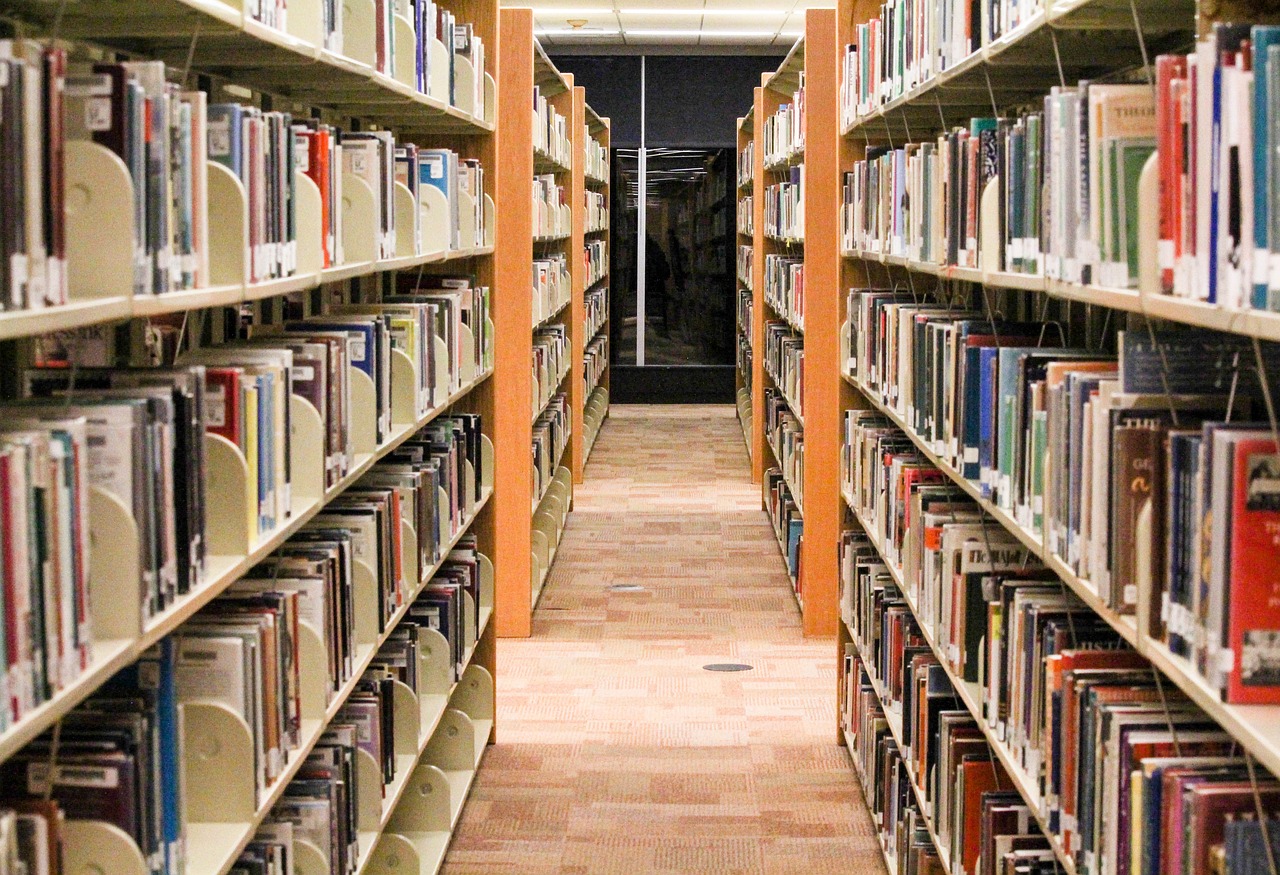 Les activités de la médiathèque de Saint-Estève
