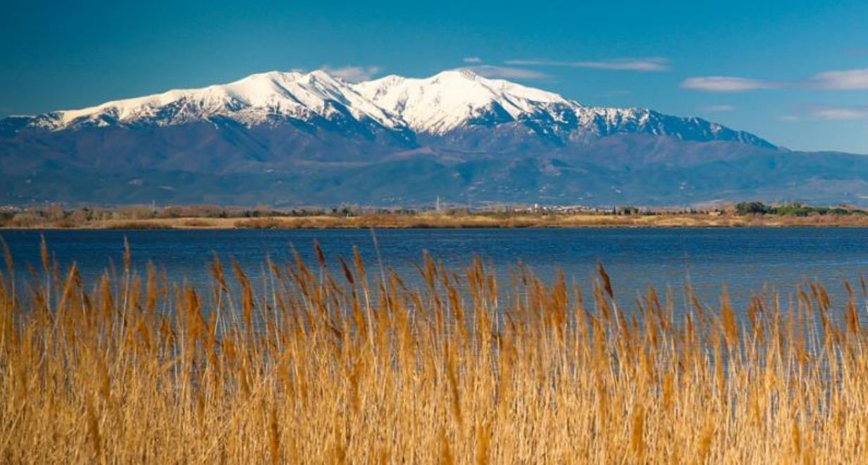 Cinq bonnes raisons de passer l’hiver au soleil à Canet-en-Roussillon !