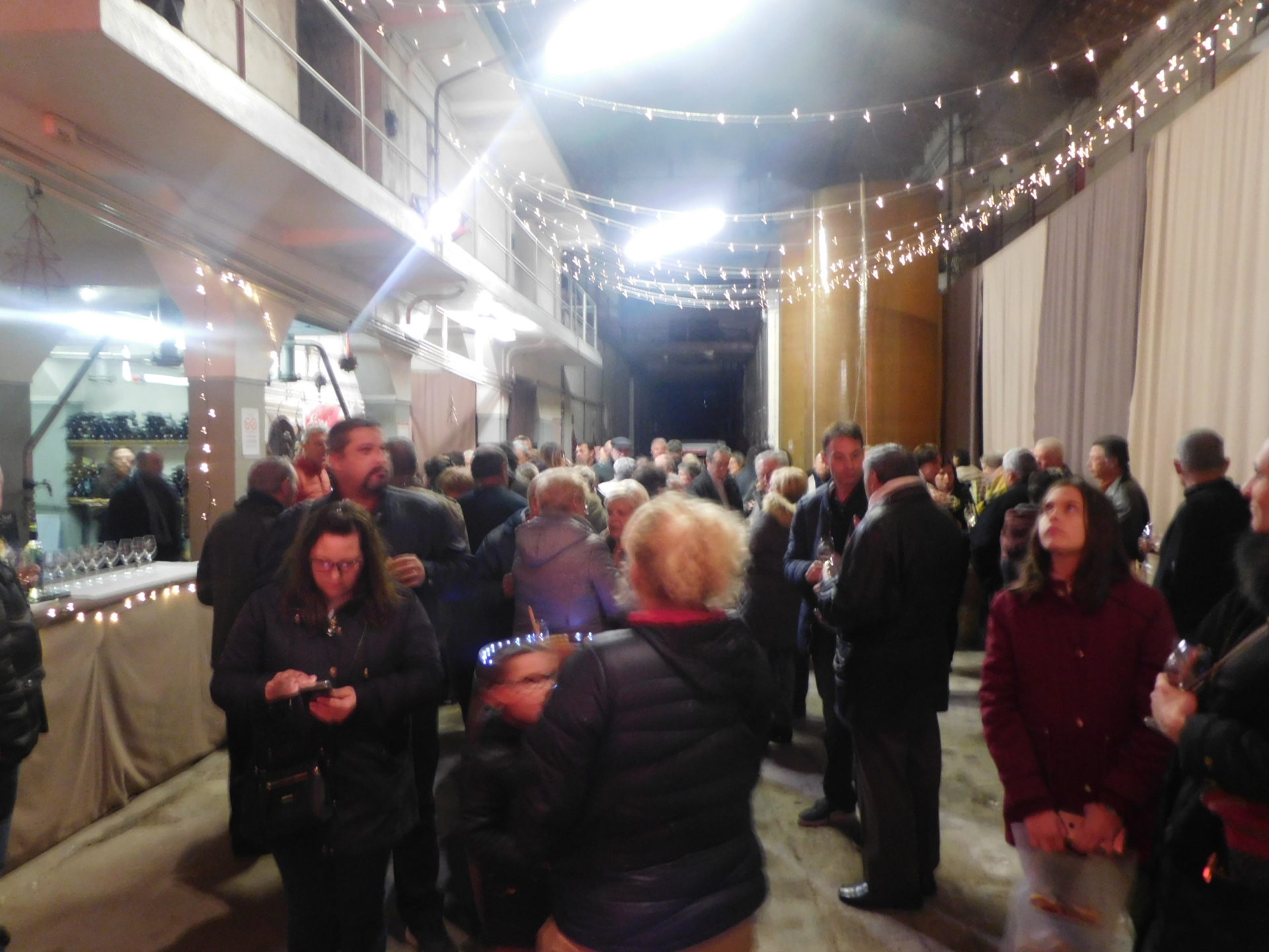Saint-Paul-de-Fenouillet : le muscat de Noël en fête