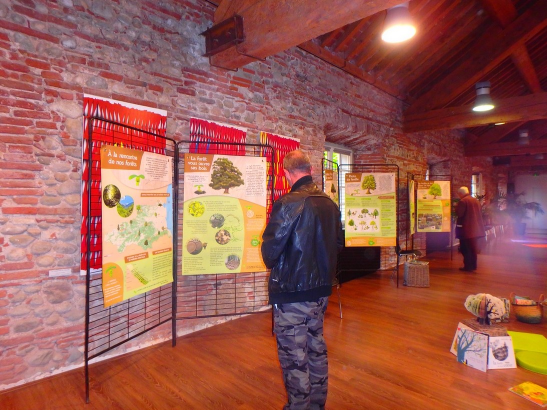 Animations auprès des scolaires et exposition sur la forêt à Latour de France