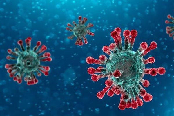 Propagation du virus coronavirus en Chine : https://gisanddata.maps.arcgis.com/apps/opsdashboard/index.html#/bda7594740fd40299423467b48e9ecf6