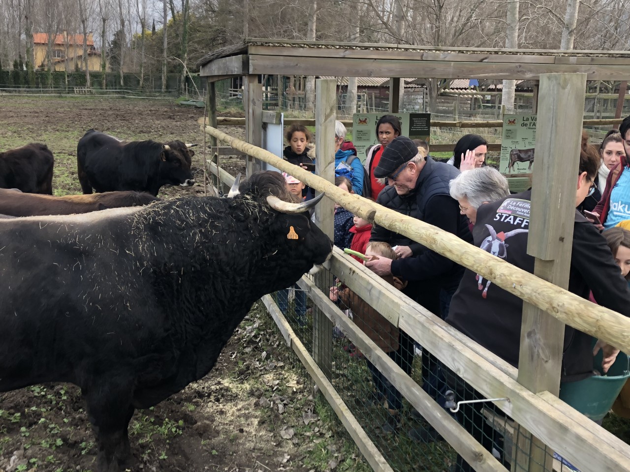 Chaque année en février, le Salon de l’Agriculture de Paris est l’occasion d’aller à la rencontre des agriculteurs !