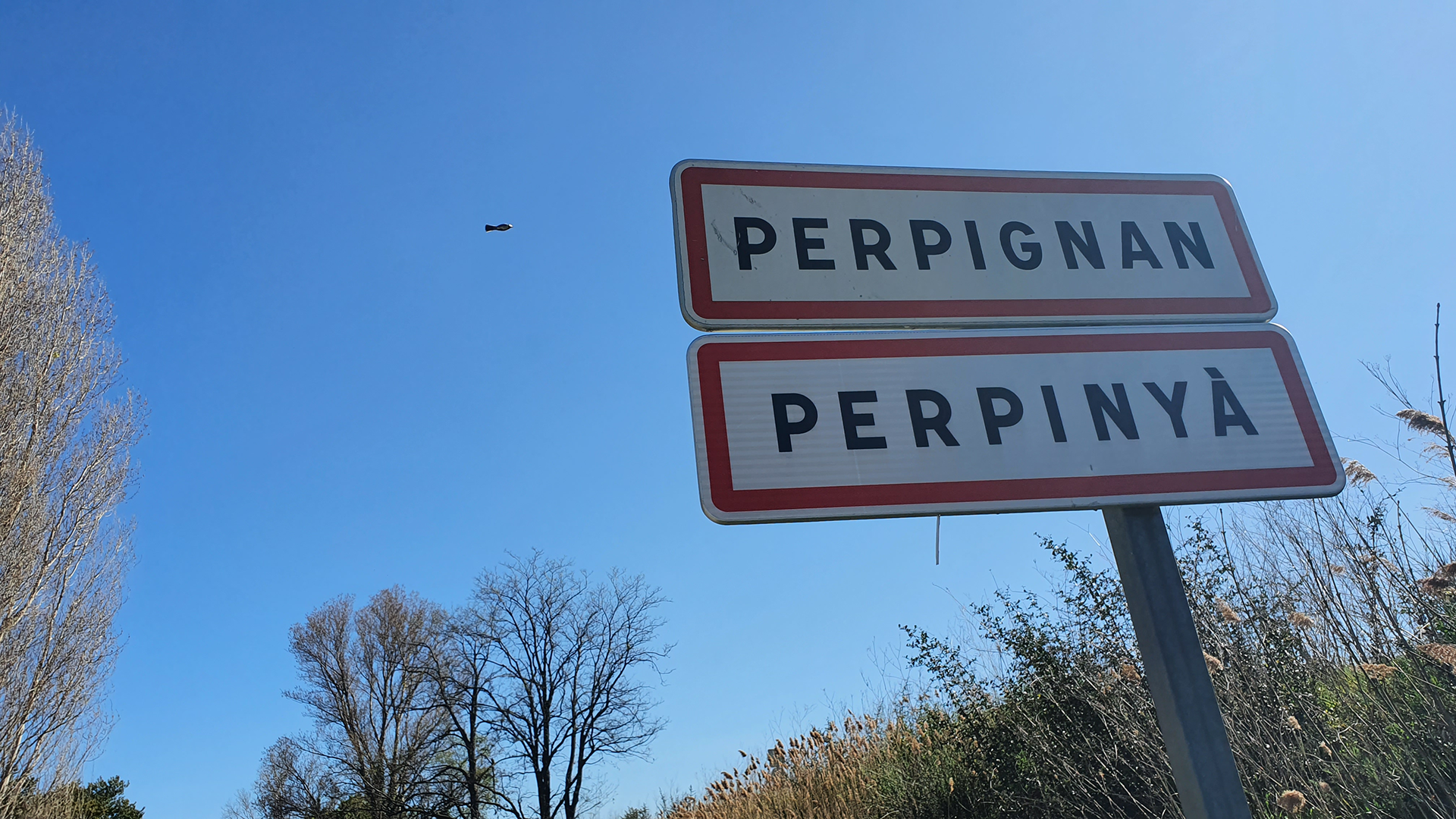 Un parc façon « Puy du Fou » à Perpignan, c’est du sérieux !