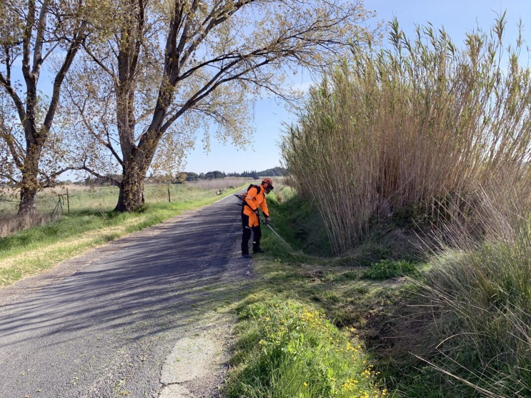 Voirie campagne de faucardage et débroussaillage pour la Communauté de communes Sud Roussillon