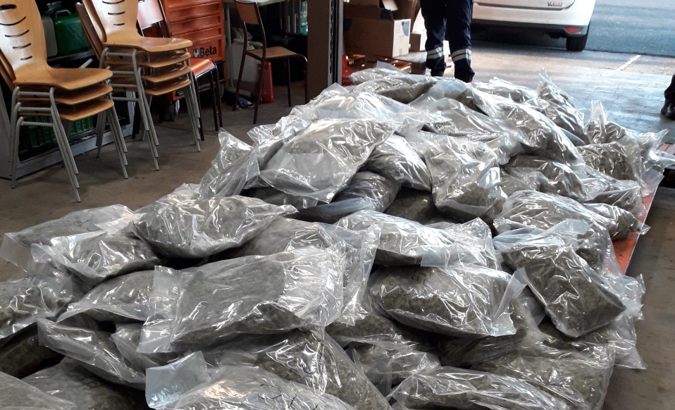 Saisie de 204 kg d’herbe de cannabis et de 32 000€ par les douanes de Perpignan