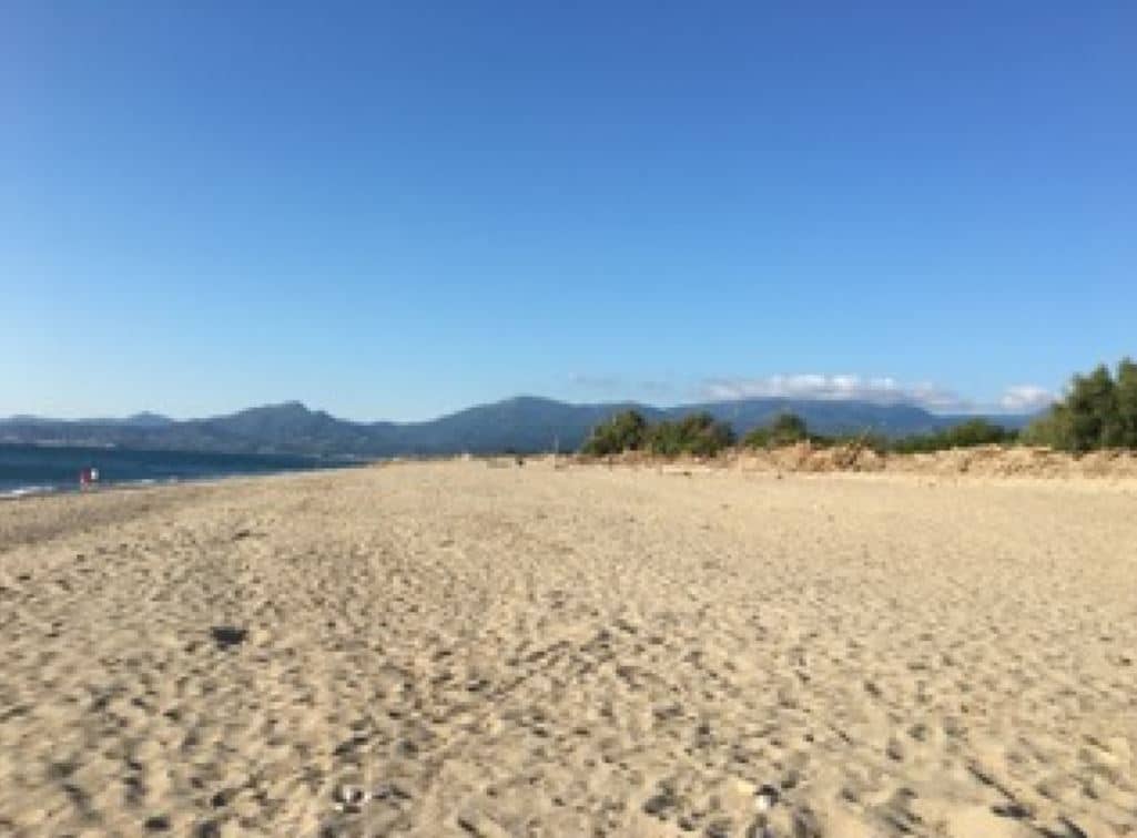 Elne : réouverture de la plage