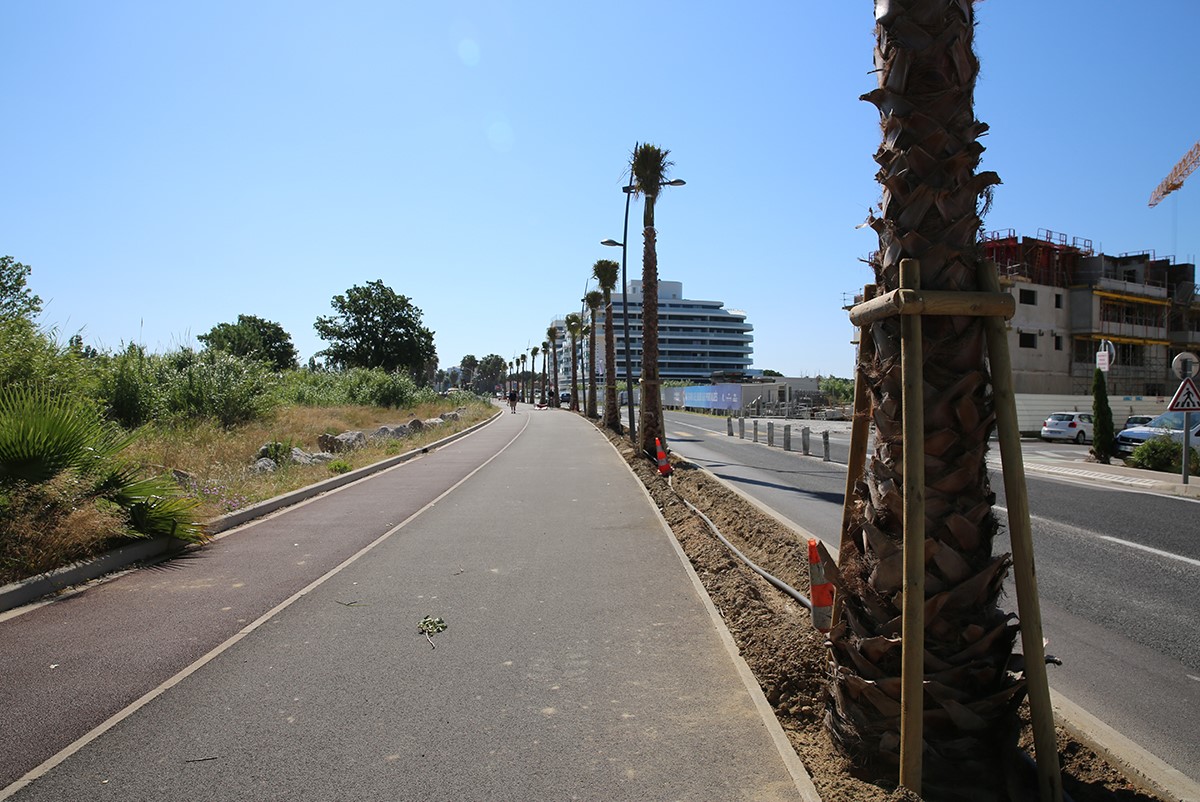 Canet/ Mobilité, un nouveau lien qui se dessine